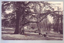 91 - YERRES - SANATORIUM - LE PARC - ANIMÉE - - Yerres