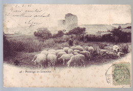 23 - VILLEMONTEIX  - ENVIRONS DE CHENERAILLE - ANCIEN MOULIN à VENT - MOUTONS -   - Other & Unclassified