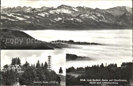 11672972 Hinwil Panorama Bachtel Kulm Mit Blick Auf Churfirsten Speer Und Schaen - Autres & Non Classés