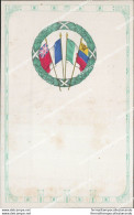 As482 Cartolina Militare Www1 Bandiere - Reggimenti