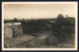 AK Elisäus-Quelle, Blick über Dichte Vegetation Auf Tiefebene  - Palestine