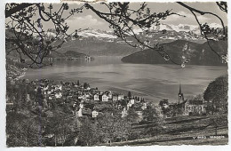 X124996 SUISSE LU LUCERNE WEGGIS - Lucerna