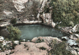 - 84 - FONTAINE-de-VAUCLUSE (Vaucluse) - Le Gouffre En Temps De Crue. - - Autres & Non Classés