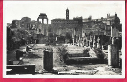 ROMA - FORO ROMANO - FORMATO PICCOLO - FOTOFAM - NUOVA - Otros Monumentos Y Edificios