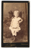 Fotografie Ernst Seyser, Prenzlau, Königstr. 159, Kleines Mädchen Mit Hellem Kleid  - Anonyme Personen