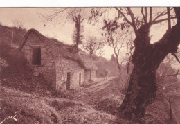 EN LIMOUSIN - Chaumière En Haute Montagne - Autres & Non Classés