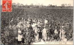 37 AZAY LE RIDEAU - Vendangeurs Au Clos De L'aulee. - Azay-le-Rideau