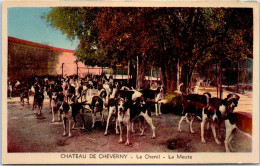 41 CHEVERNY - La Meute Au Chenil Du CHATEAU  - Cheverny