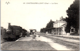 18 CHATEAUMEILLANT - La Gare (train) - Autres & Non Classés