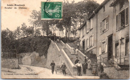 51 SAINTE MENEHOULD - Escalier Du Chateau. - Sainte-Menehould