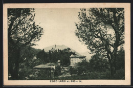 Cartolina Esino Lario, Ortsansicht Aus Der Ferne  - Andere & Zonder Classificatie