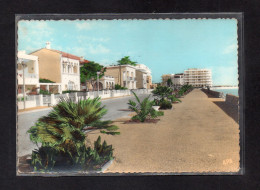 (06/05/24) 66-CPSM CANET PLAGE - Canet Plage