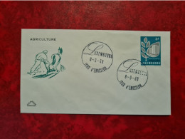 Lettre LUXEMBOURG  1969 FDC AGROCENTER MERSCH  AGRICULTURE - Otros & Sin Clasificación