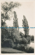 R029231 Old Photo. Lake And The Trees. RP - World