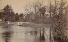 R029234 Old Postcard. Lake And Bridge - World