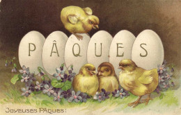 Carte Gaufrée Joyeuses  Paques OEUFS  Poussins Violettes   RV - Easter