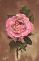 FLEURS - Une Rose  Dans Un Verre - Colorisé - Carte Postale Ancienne - Bloemen