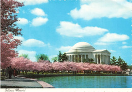 ETATS-UNIS - Jefferson Memorial Appears In Its Most Beautiful Stting Usually Early In April - Animé - Carte Postale - Washington DC