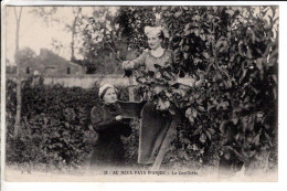 Au Doux Pays D Anjou La Cueillette - Cartes Postales Ancienne - Costumes