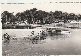 **** 30 ***  SAINT AYGUF  Vue Générale  Du Camping -- TB  Timbrée 1954 - Sonstige & Ohne Zuordnung