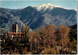 Abbaye De Saint Michel De Cuxa , Au Fond Massif Du Canigou.       Non Circulée - Autres & Non Classés