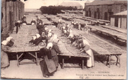 56 QUIBERON - Femme Des Usines, Sechage Des Sardines. - Quiberon