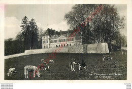 01.  DIVONNE LES BAINS .  Le Château .  - Divonne Les Bains