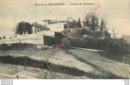 01.  CEYZERIEU .  Château De Grammont .  CEYZERIEUX . - Zonder Classificatie