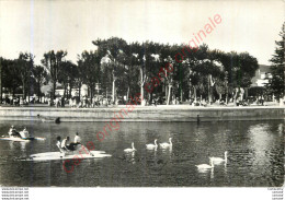 73.  AIX LES BAINS .  Les Bords Du Lac . - Aix Les Bains