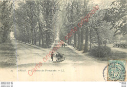 62.  ARRAS . Avenue Des Promenades . - Arras