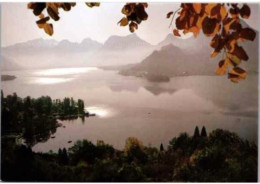 LAC D'ANNECY. -  Matin Au Petit Lac, Le Massif Des Bauges, Talloires Et Duingt.      Non Circulée - Annecy