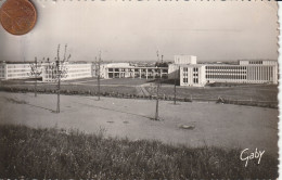 14 -  Carte Postale Semi Moderne De  CAEN   Cité Universitaire - Caen