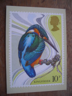 FDC1980  Oiseau Bird Oiseaux Britanniques Martin-pêcheur Kingfisher - Tarjetas PHQ