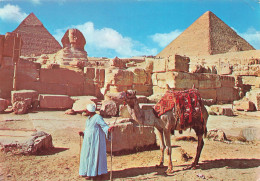 EGYPTE - Giza - The Great Sphinx And Keops Pyramid - Dromadaire - Homme - Animé - Carte Postale - Guiza