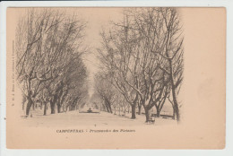 CARPENTRAS - VAUCLUSE - PROMENADES DES PLATANES - Carpentras