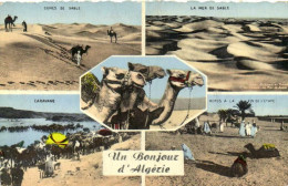 Fantaisie Un Bonjour D' Algerie 5 Vues Colorisées RV - Other & Unclassified