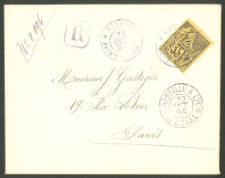Lettre Cad Violet "Réunion/Saint Pierre". No 25 Sur Enveloppe Recommandée Pour Paris, 1894. - TB - Other & Unclassified