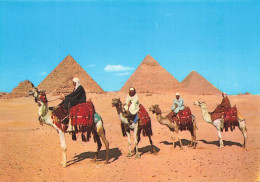 EGYPTE - Giza - Arab Camelriders In Front Of The Pyramids - Animé - Carte Postale - Gizeh