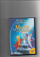 Merlin L'enchanteur - Familiari