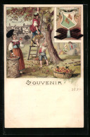 Lithographie Frauenfeld, Familie Pflückt Äpfel, Reklame Für Suchard Chocolade, Wappen  - Frauenfeld