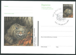 Slovenija, Slovenia, Slowenien 1998; Felis Silvestris, Postal Stationery; FDC Marcophily : Felis Silvestris - Gatos Domésticos