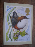 FDC1980  Dipper Cincle Plongeur  Oiseau - Tarjetas PHQ