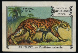 Meurisse - Ca 1930 - 100 - Les Félidés, Wild Cats - 2 - Panthère Tachetée, Spotted Panther - Otros & Sin Clasificación