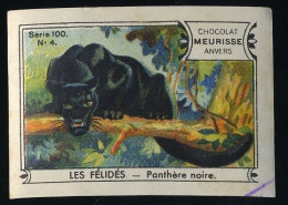 Meurisse - Ca 1930 - 100 - Les Félidés, Wild Cats - 4 - Panthère Noir, Black Panter - Other & Unclassified