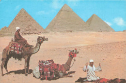 EGYPTE - Giza - La Prière Près Des Pyramides - Animé - Dromadaires - Pyramides - Carte Postale - Gizeh