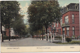 Oegstgeest - Zuid Holland - Wilhelminastraat - N° 10464 - Other & Unclassified