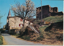 SAINT MARTIN EN HAUT - N° R. 47706 - VUE DU VILLAGE (C P M) - Otros & Sin Clasificación