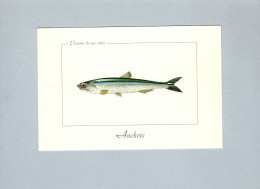 Poissons - Vissen & Schaaldieren