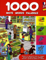 Dictionnaire Trilingue : Anglais-français-espagnol (2009) De Collectif - Woordenboeken