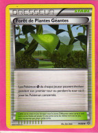 Carte Pokemon Francaise 2015 Xy Origine Antique 74/98 Foret De Plantes Geantes Occasion - XY